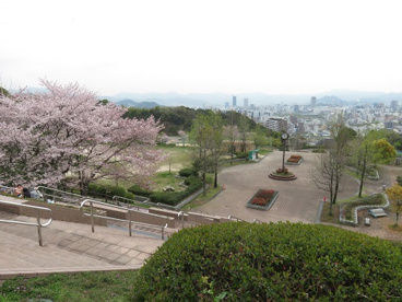 竜王公園の画像1