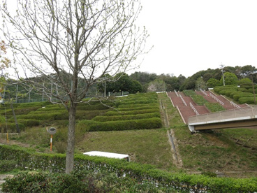 竜王公園の画像3