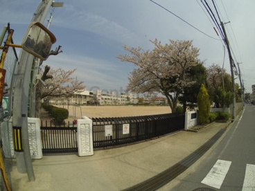 伊丹市立 桜台小学校の画像1