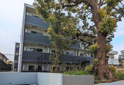 新渡戸稲造　旧居跡の画像1