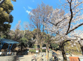 文京区立江戸川公園