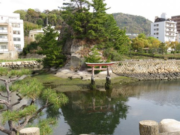 西部埋立第二公園の画像1