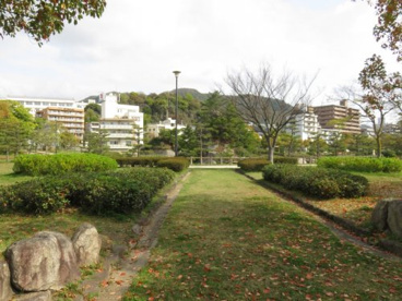 西部埋立第二公園の画像3