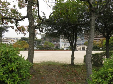 西部埋立第二公園の画像4