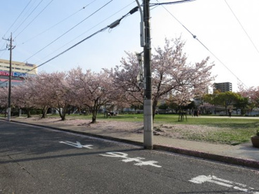 公園の画像1