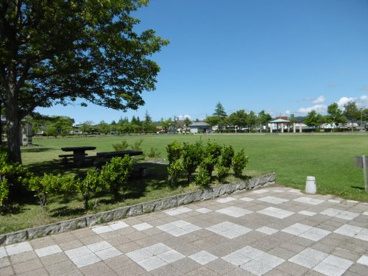 黒石市運動公園の画像3
