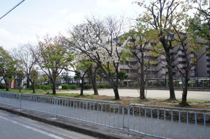 西野1丁目公園の画像1