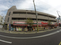 ニシイチドラッグ　甲東園店
