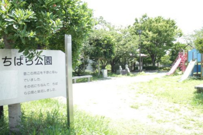 ちばら公園の画像2