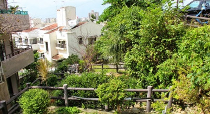 さくのかわ公園の画像1
