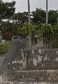 公園 五月公園