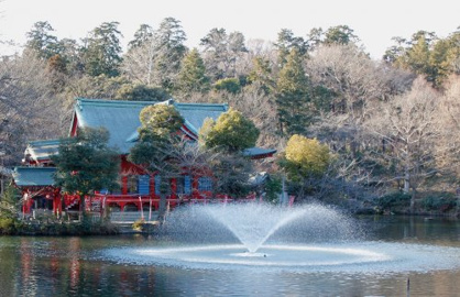井の頭恩賜公園の画像1