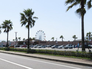 マリーナホップの画像1