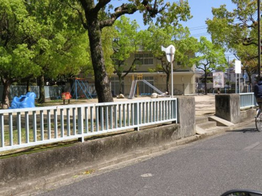 公園の画像1