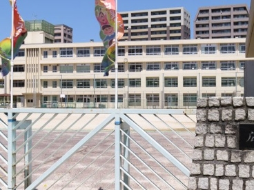 広島市立白島小学校の画像1
