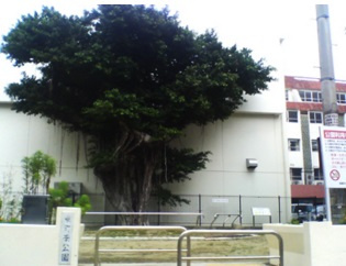 東町南公園の画像1