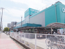 カインズホーム草加松原団地店