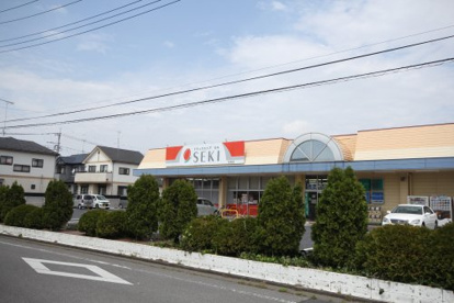 ドラッグストア　セキ　花崎店（加須市花崎北3丁目）の画像1