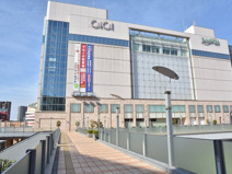 マルイファミリー志木