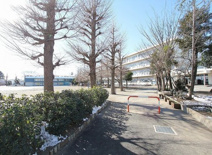 新座市立野火止小学校