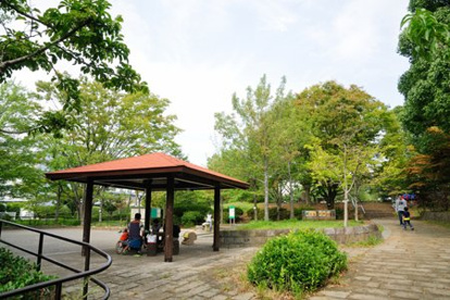 品濃中央公園 の画像1