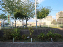 富士見市立つるせ台小学校