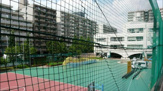  横浜市立森東小学校