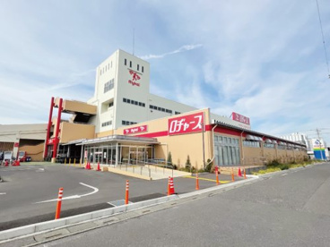 ロヂャース新座店の画像1