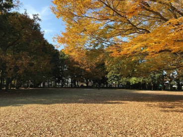 水子貝塚公園の画像2