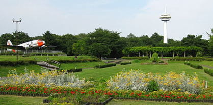 所沢航空記念公園の画像1