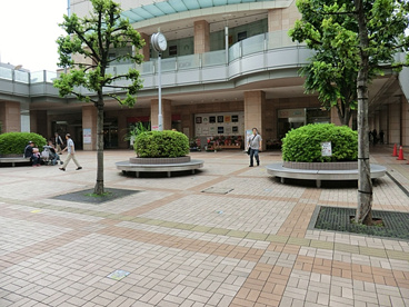 マルイファミリー志木の画像2