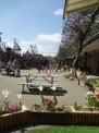 のしお保育園