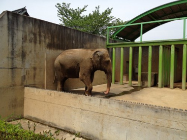遊亀公園附属動物園の画像2