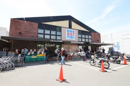 新鮮激安市場 醍醐店の画像1