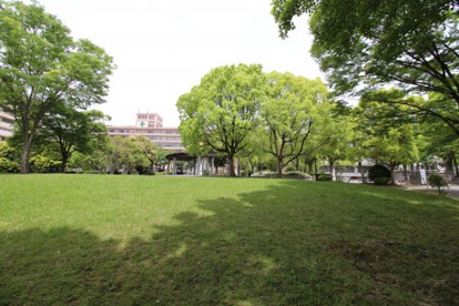 黄檗公園の画像2