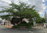 保育園 宝塚さくら保育園
