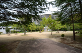 公園 すみれガ丘東公園