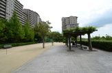 公園 すみれガ丘南公園