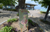 公園 下ノ池公園