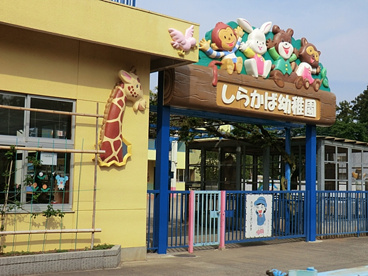しらかば幼稚園の画像1