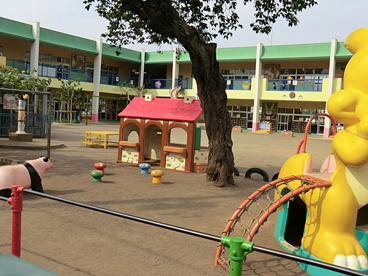 しらかば幼稚園の画像2