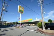 ジャパン宝塚店