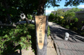 つつじヶ丘公園