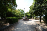 公園 上の池公園