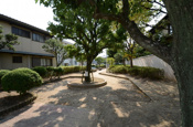 大成第3公園