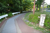 公園 南ひばりガ丘公園