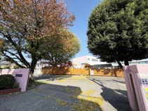 朝霞たちばな幼稚園