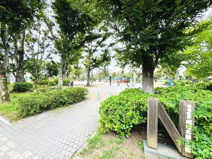 板橋区立成増北第一公園