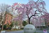 上野恩賜公園
