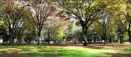 新宿中央公園の画像1